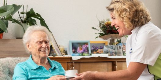 Senevita Bernerrose, Betreuung